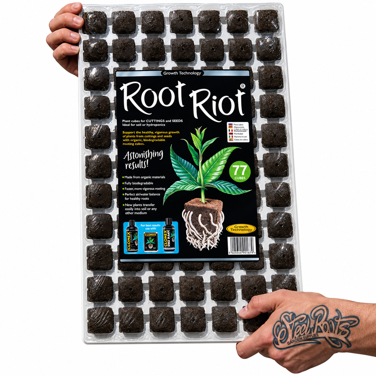 A clear plastic tray filled with 77 small dark soil cubes arranged in a grid, with a large Root Riot label on the front. Two hands are holding the tray against a plain white background.